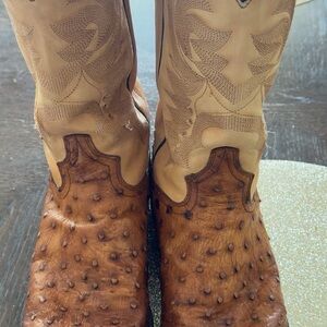 Dan Post Brown Ostrich Boots